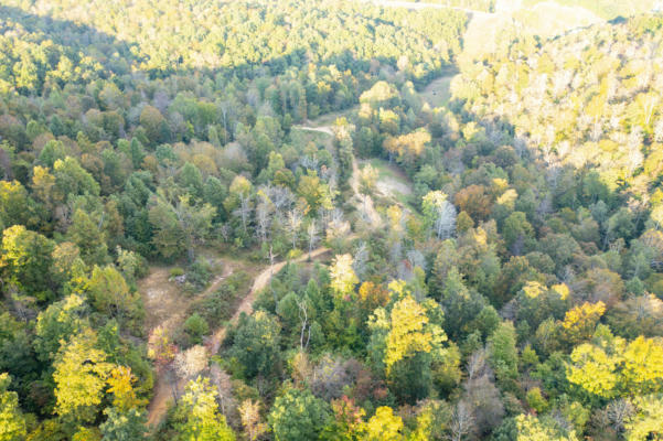 110 ACRES LAND FLEMING FORK, OLIVE HILL, KY 41164 - Image 1