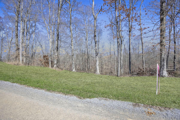 TRACT 12 CAMPBELL ROAD, JABEZ, KY 42544, photo 4 of 7