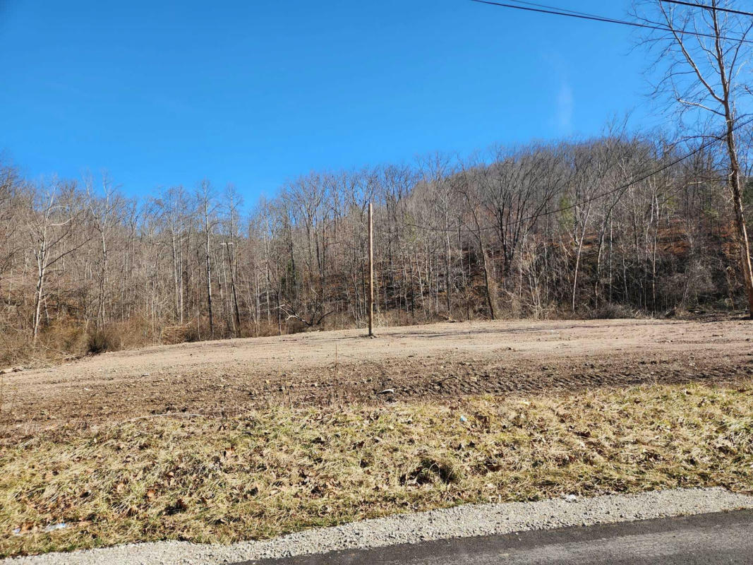 0000 ST HWY 2078, OLIVE HILL, KY 41164, photo 1 of 2