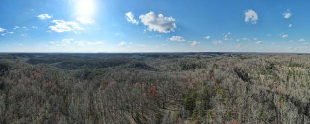 079 SOUL CANYON HIDEAWAYS, ZOE, KY 41397, photo 5 of 17