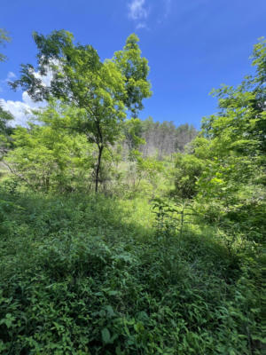 400 TBD OLD HOUSE ROAD, WEST LIBERTY, KY 41472 - Image 1