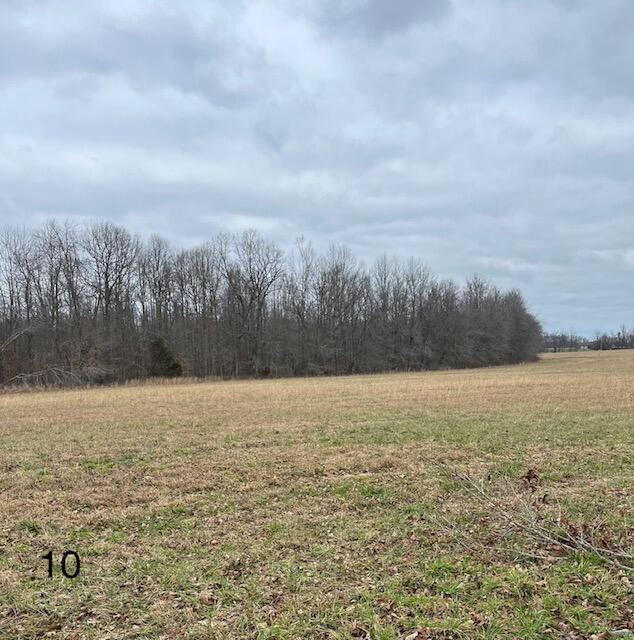 TRACT 10 DUG HILL ROAD, BRODHEAD, KY 40409, photo 1 of 5