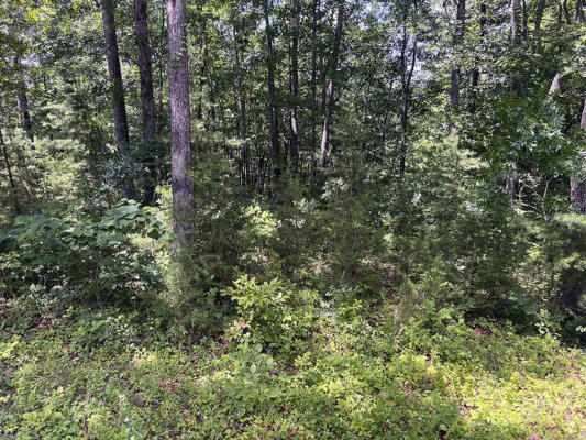 LOT 17 CUMBERLAND SHORES, MONTICELLO, KY 42633, photo 3 of 6