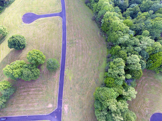 LOT 114 STILLWATER, RUSSELL SPRINGS, KY 42642, photo 3 of 5