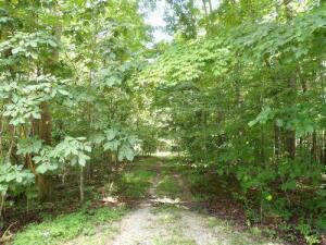 TRACT 1 OFF GREEN STABLE LANE LANE, MONTICELLO, KY 42633, photo 2 of 13