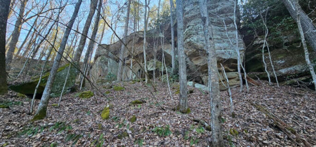 058 SOUL CANYON HIDEAWAYS, ZOE, KY 41397, photo 2 of 16