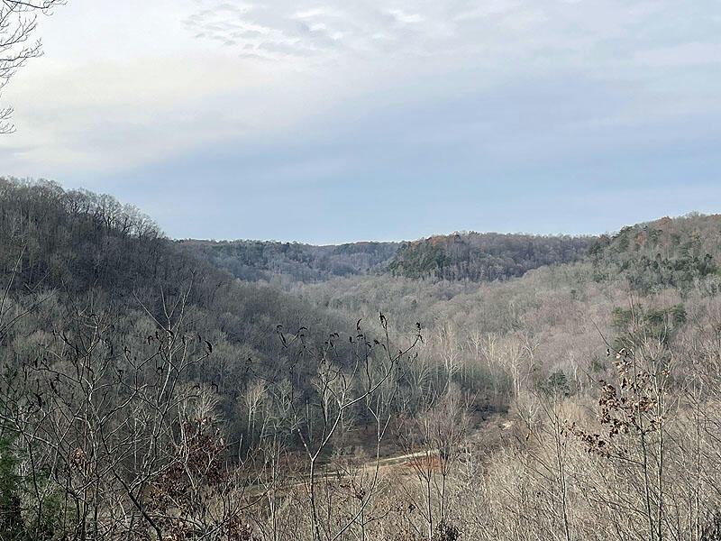 LOT 145 STILLWATER, RUSSELL SPRINGS, KY 42642, photo 1 of 7