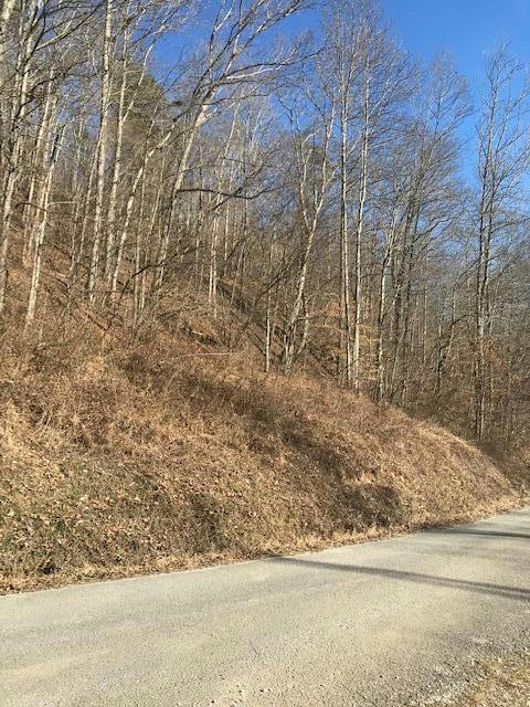 9999 CAVE BRANCH ROAD, MANCHESTER, KY 40962, photo 1 of 15