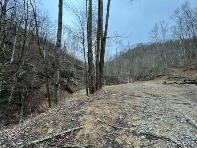 00 GOLF COURSE ROAD, MCDOWELL, KY 41647, photo 1 of 23