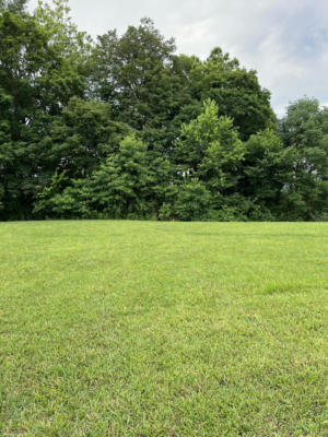 LOT 12 PH1 COLSON COVE, BRONSTON, KY 42518, photo 3 of 3