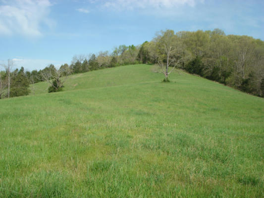9999 SHAWHAN ROAD, BERRY, KY 41003, photo 4 of 9