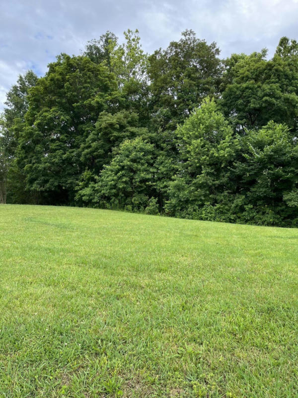 LOT 12 PH1 COLSON COVE, BRONSTON, KY 42518, photo 1 of 3