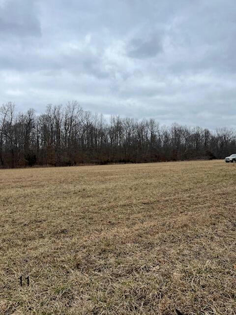 TRACT 11 DUG HILL ROAD, BRODHEAD, KY 40409, photo 1 of 5