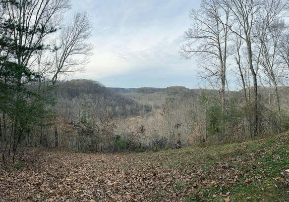 LOT 145 STILLWATER, RUSSELL SPRINGS, KY 42642, photo 2 of 7