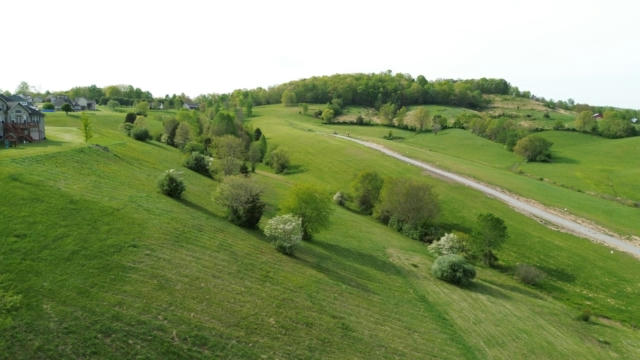 9999 SHINER HILL PHASE II, WILLIAMSBURG, KY 40769, photo 5 of 15