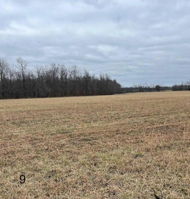 TRACT 9 DUG HILL ROAD, BRODHEAD, KY 40409, photo 1 of 5