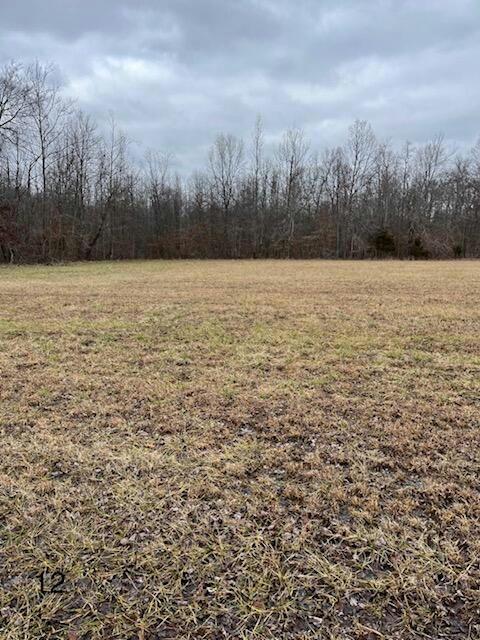 TRACT 12 DUG HILL ROAD, BRODHEAD, KY 40409, photo 1 of 4