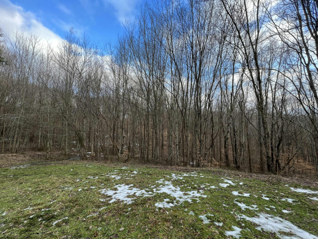 LOT #28 LAREDO DRIVE, LONDON, KY 40744, photo 1