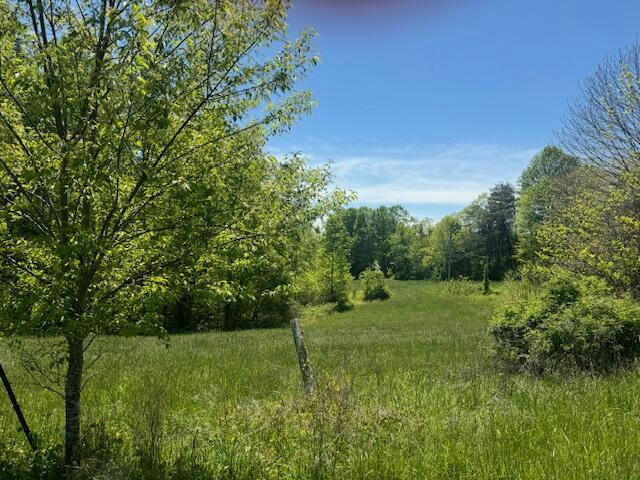 14.59 MARY ALLENDER ROAD, COLUMBIA, KY 42728, photo 1 of 10