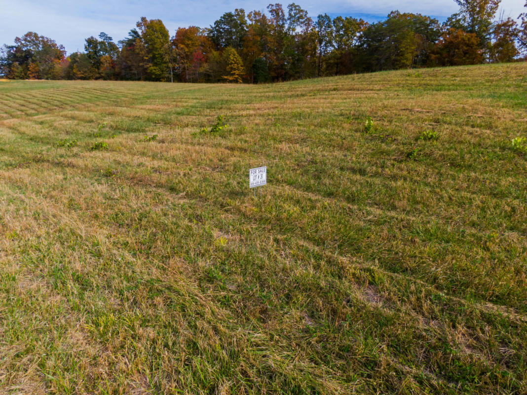 LOT 31 SPRING BRANCH HOLLOW ROAD, NANCY, KY 42544, photo 1 of 5