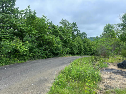 TRACT 26 TATEVILLE ANTIOCH ROAD, BURNSIDE, KY 42519 - Image 1