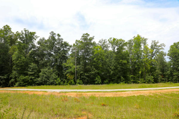 LOT# 108 SANDSTONE POINT TRAIL, MONTICELLO, KY 42633, photo 5 of 15