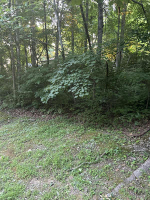 LOT SHORELINE DRIVE, SOMERSET, KY 42503 - Image 1