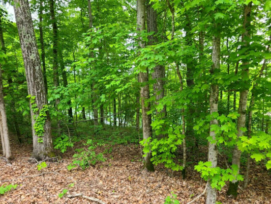 LOT #34 LAKEVIEW DRIVE, BURNSIDE, KY 41519 - Image 1