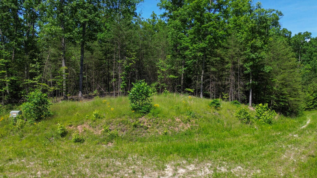 23 EAGLE TRACE DR LOT 22, CLAY CITY, KY 40312, photo 1 of 10