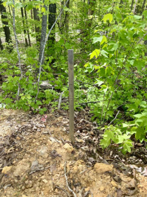 LOT 133 SANDSTONE TRAIL, MONTICELLO, KY 42633, photo 5 of 14