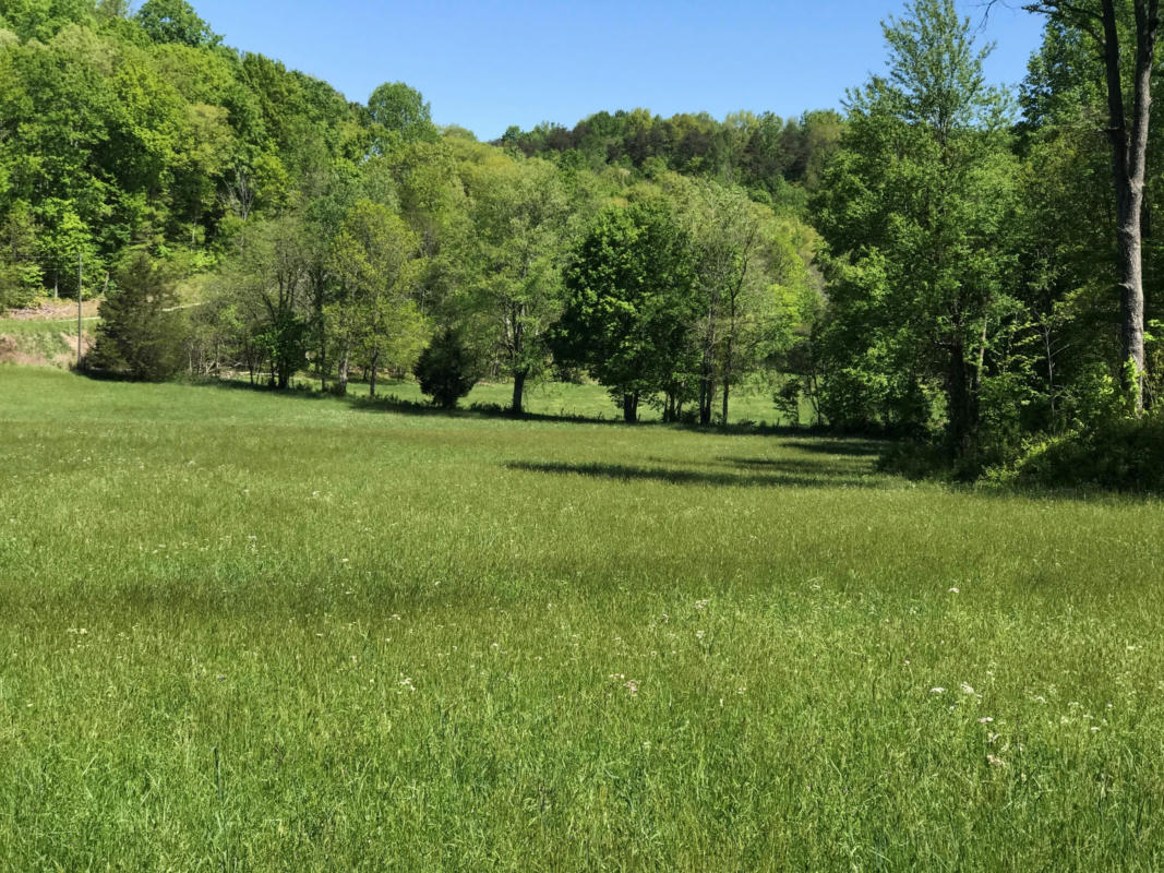 0 CHESNUT GROVE ROAD, MONTICELLO, KY 42633, photo 1 of 18