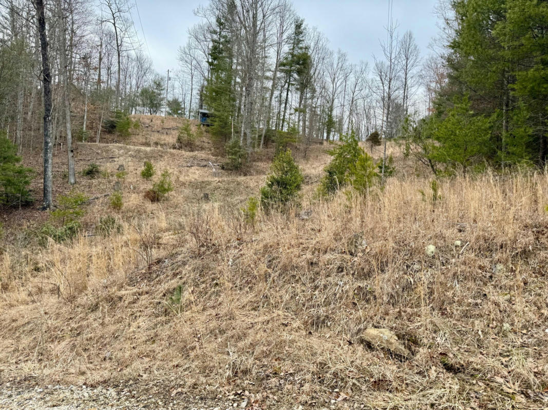 LOT#2 PEACEFUL VALLEY REC RETREAT, BEATTYVILLE, KY 41311, photo 1 of 11