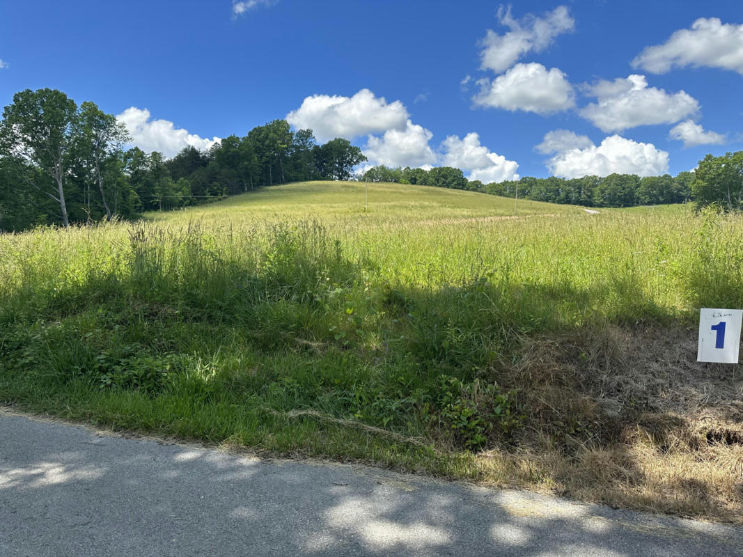 1928 MONEY RD, EAST BERNSTADT, KY 40729, photo 1 of 10