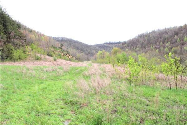 0 STEELE HOLLOW ROAD, ROCKHOLDS, KY 40759, photo 4 of 13