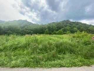 3151 MYERS FORK ROAD, WELLINGTON, KY 40387, photo 5 of 9