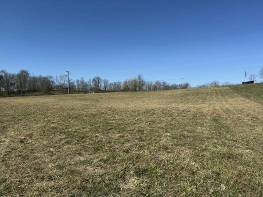740 LOCUST FORK RD, STAMPING GROUND, KY 40379 - Image 1